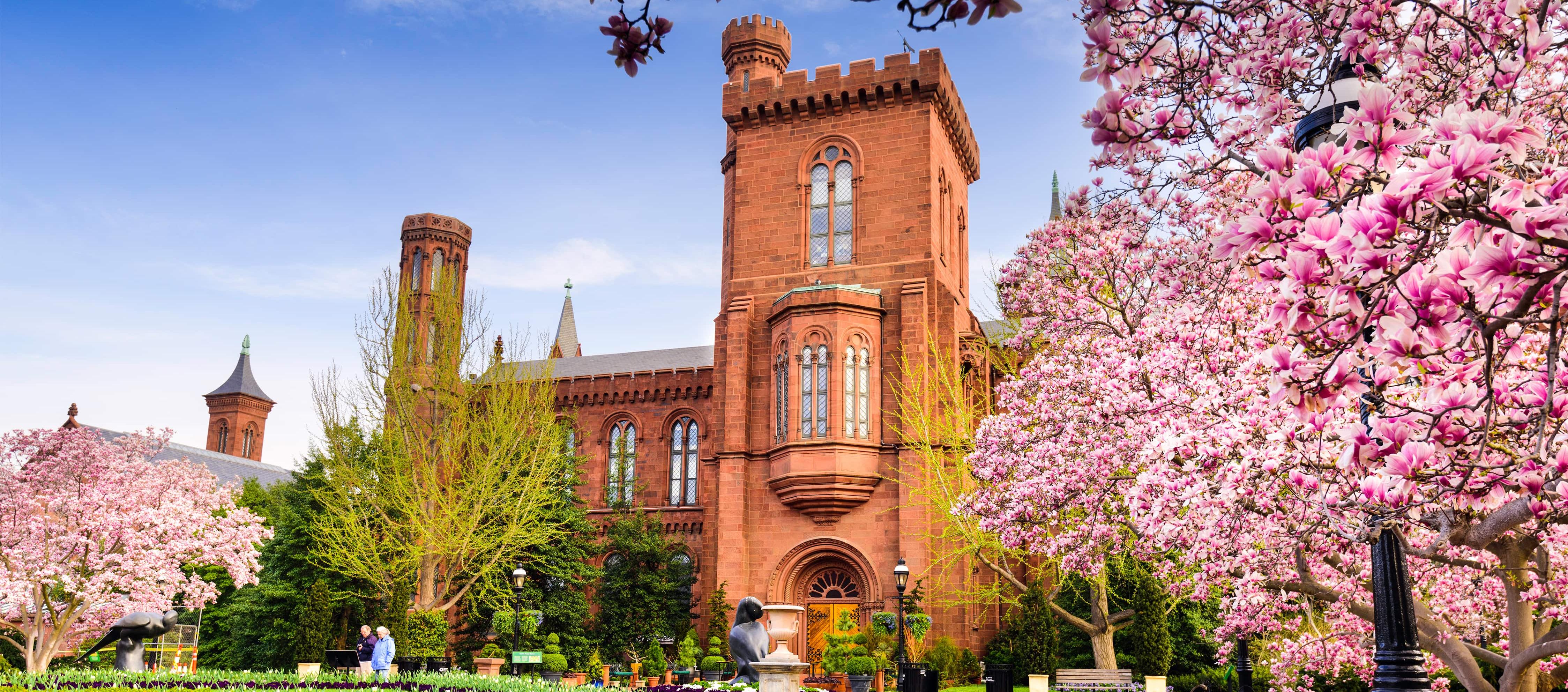 Smithsonian castle garden, red stone building with brick path. pink flowery trees